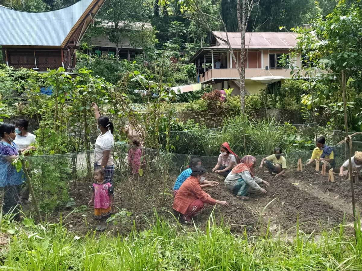pemanfaatan pekarangan
