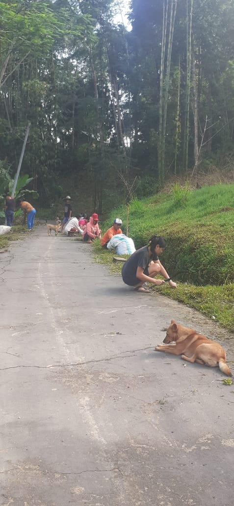 gotong royong di dusun sarira lembang angin-angin