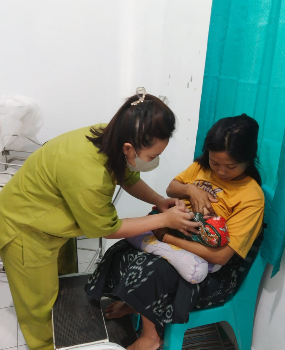 Pendampingan Ibu Pasca Salin Oleh TPK