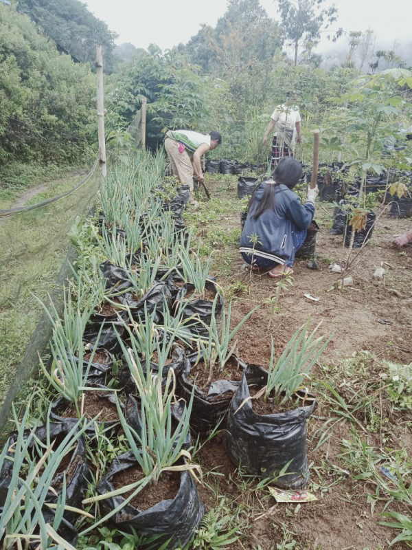Membersihkan Kebun Bersama