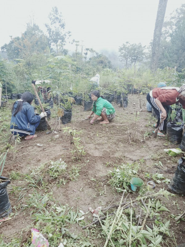 Kebun Bersama