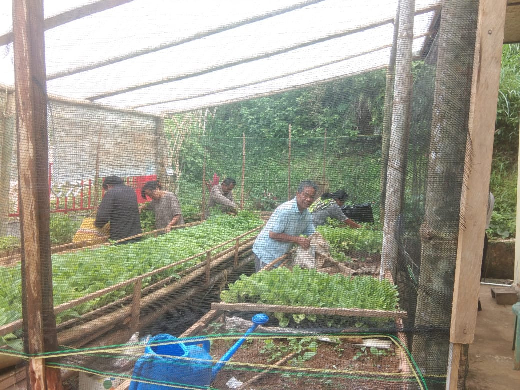 2022 POKJA EKONOMI "PEMBIBITAN TERONG DAN LOMBOK"