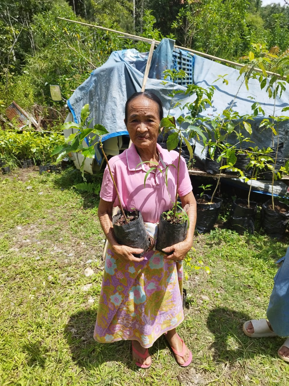 PEMBAGIAN BIBIT ALPOKAT DARI KETAHANAN PANGAN