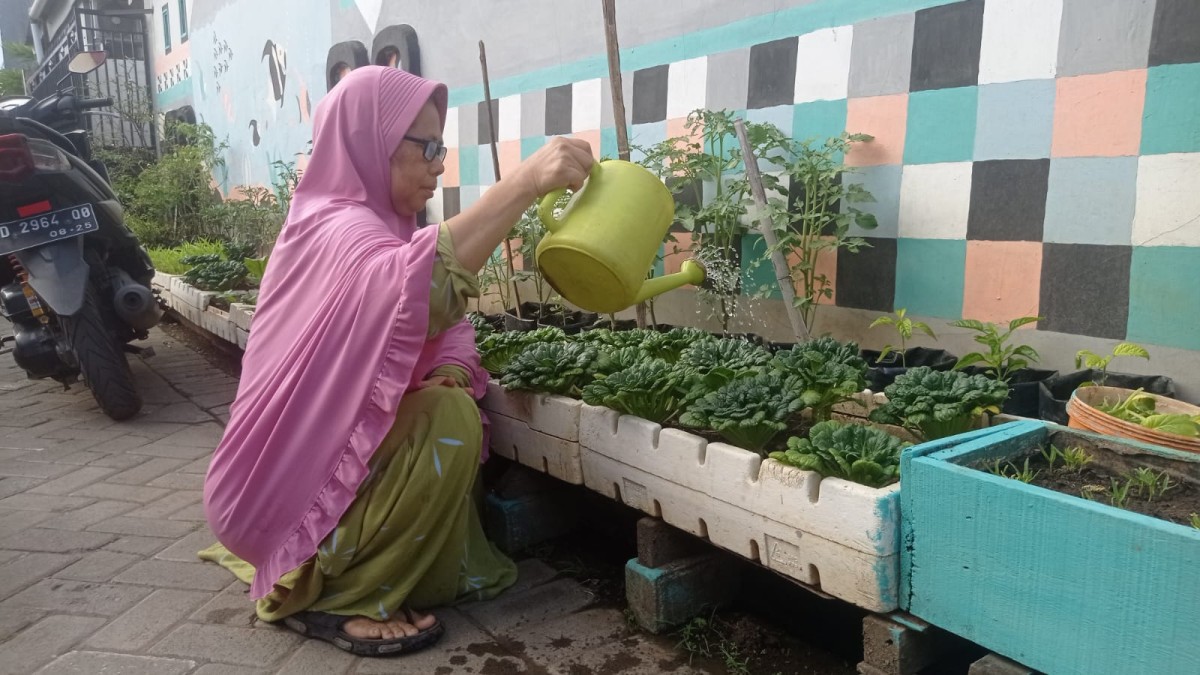 Menyiram tanaman sayur