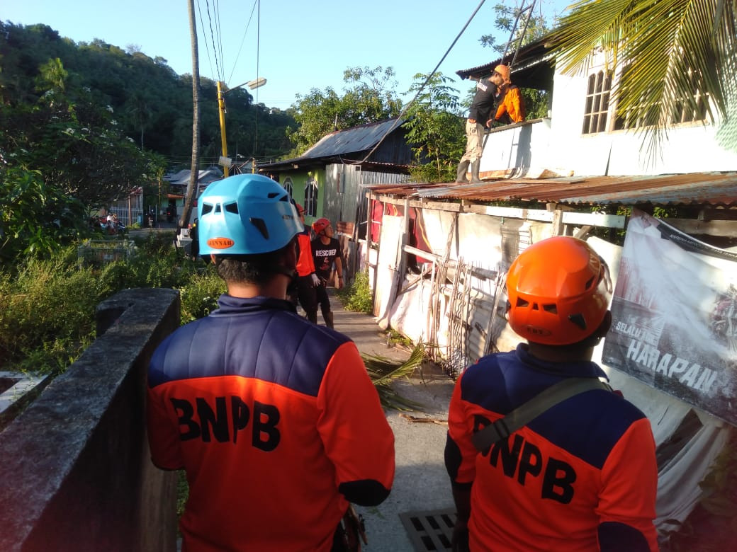 Monitoring Penanganan Musibah Pohon Tumbang