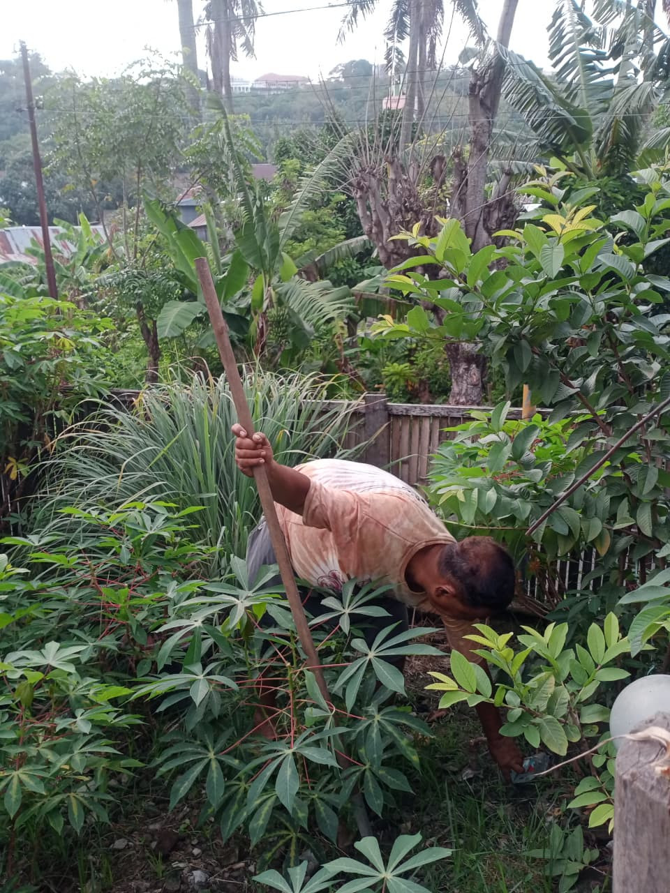 Pemanfaatan Lahan Pekarangan untuk TOGA dan berbagai Tanaman Lainnya oleh Pengurus Kamp. KB "Geddongnge"