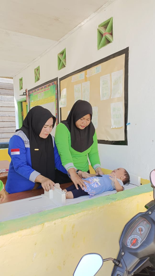 Pendampingan Balita oleh Kader TPK PKK Desa Wulonggere