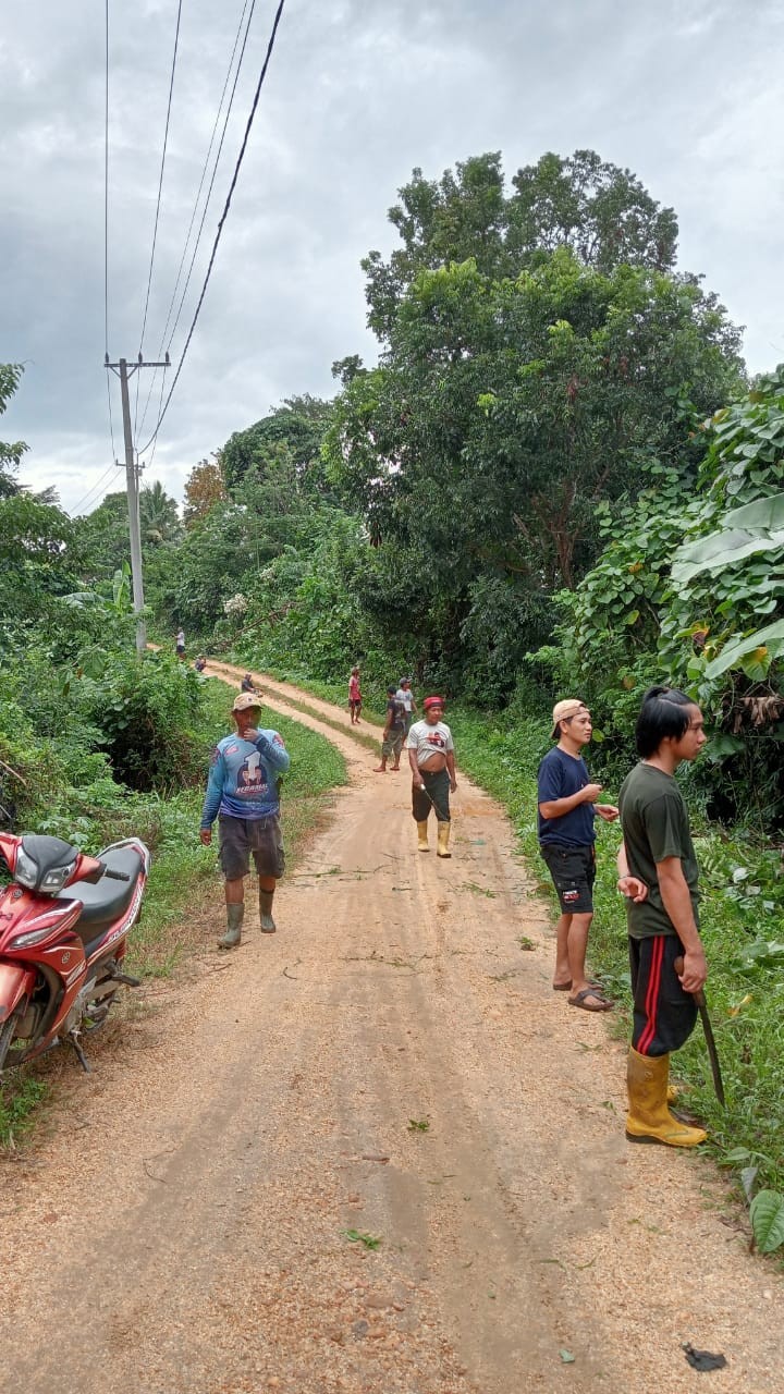 Gotong Royong Desa Wulonggere