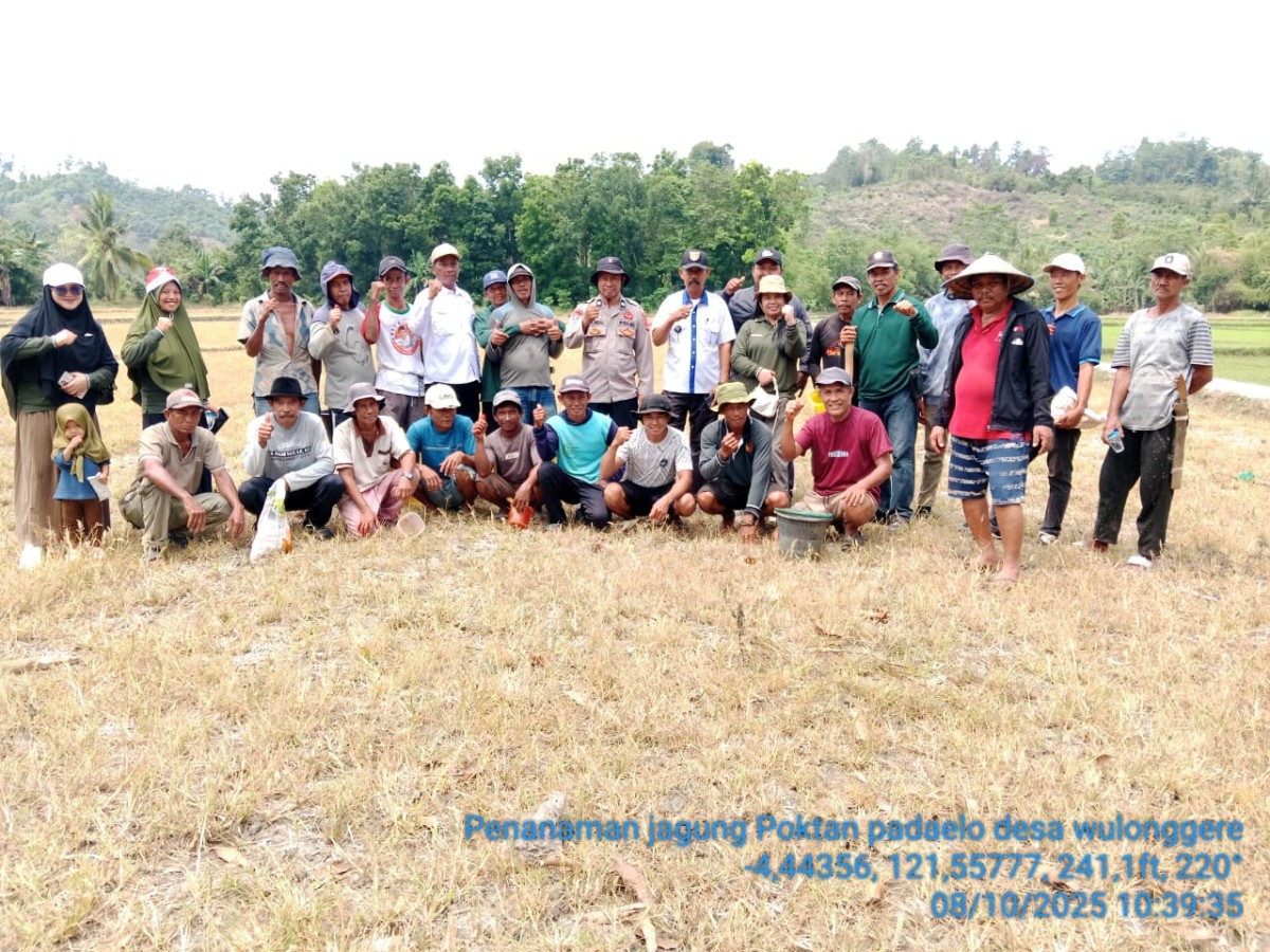 Penanaman Jagung Kelompok Tani Paddelo Desa Wulonggere