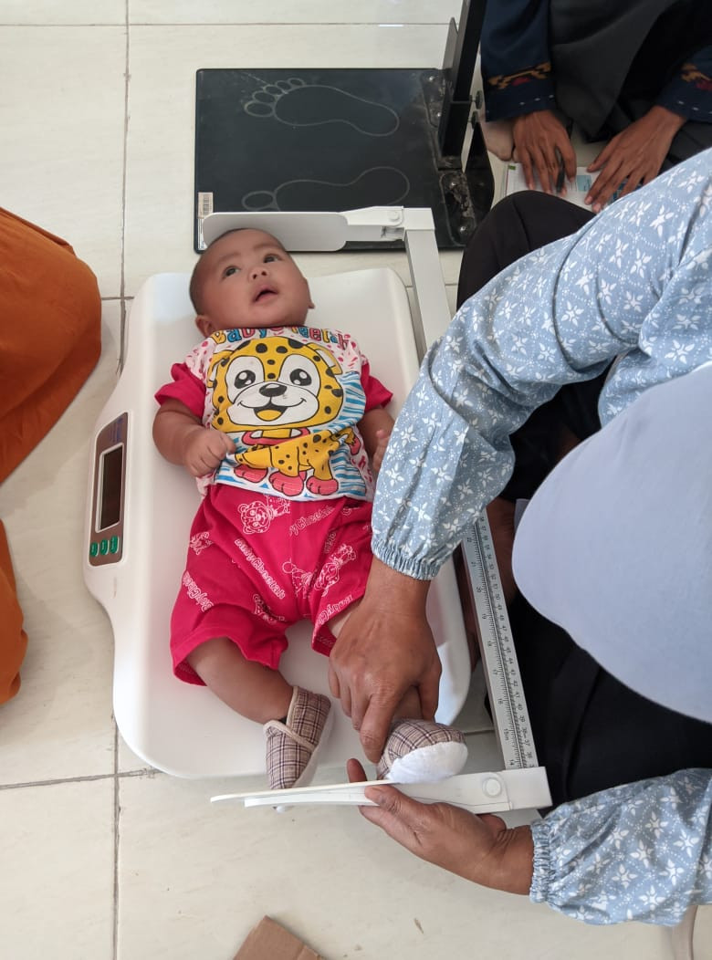 Pemantauan pertumbuhan dan perkembangan anak berusia di bawah lima tahun (balita).