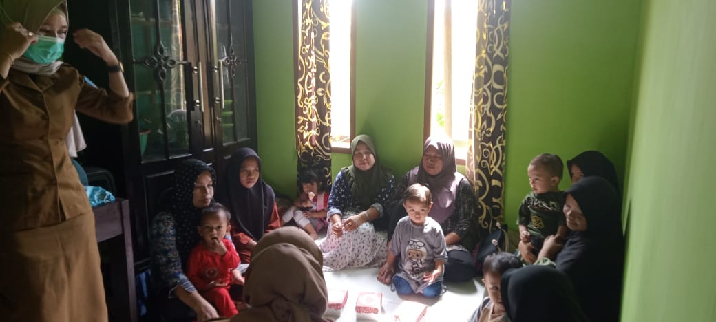 Pendampingan ibu hamil