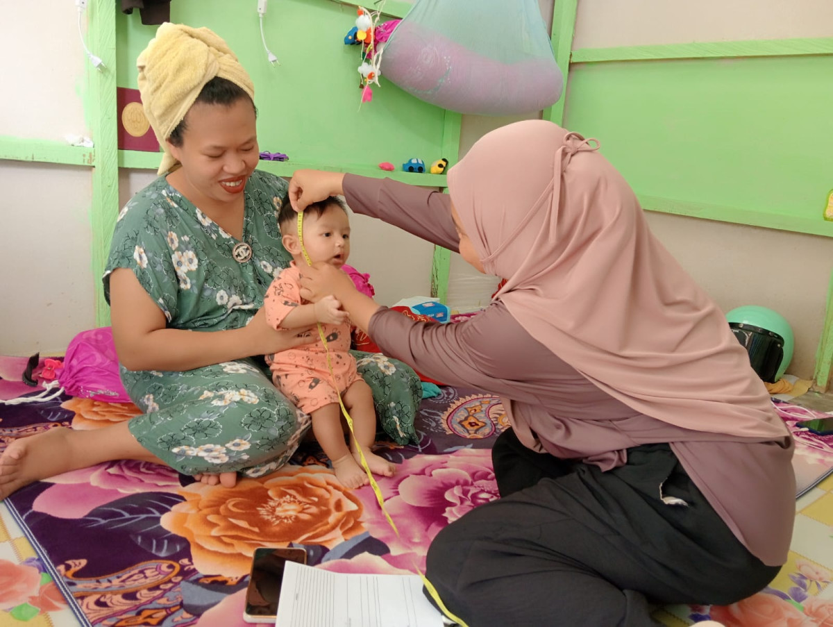 Pendampingan Pada Ibu Pasca Salin dan BAduta  Oleh Tim Pendamping Keluarga