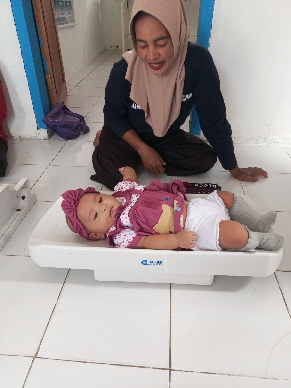 Melakukan kegiatan posyandu