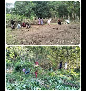 Kegiatan kerja bakti pembersihan kebun pkk