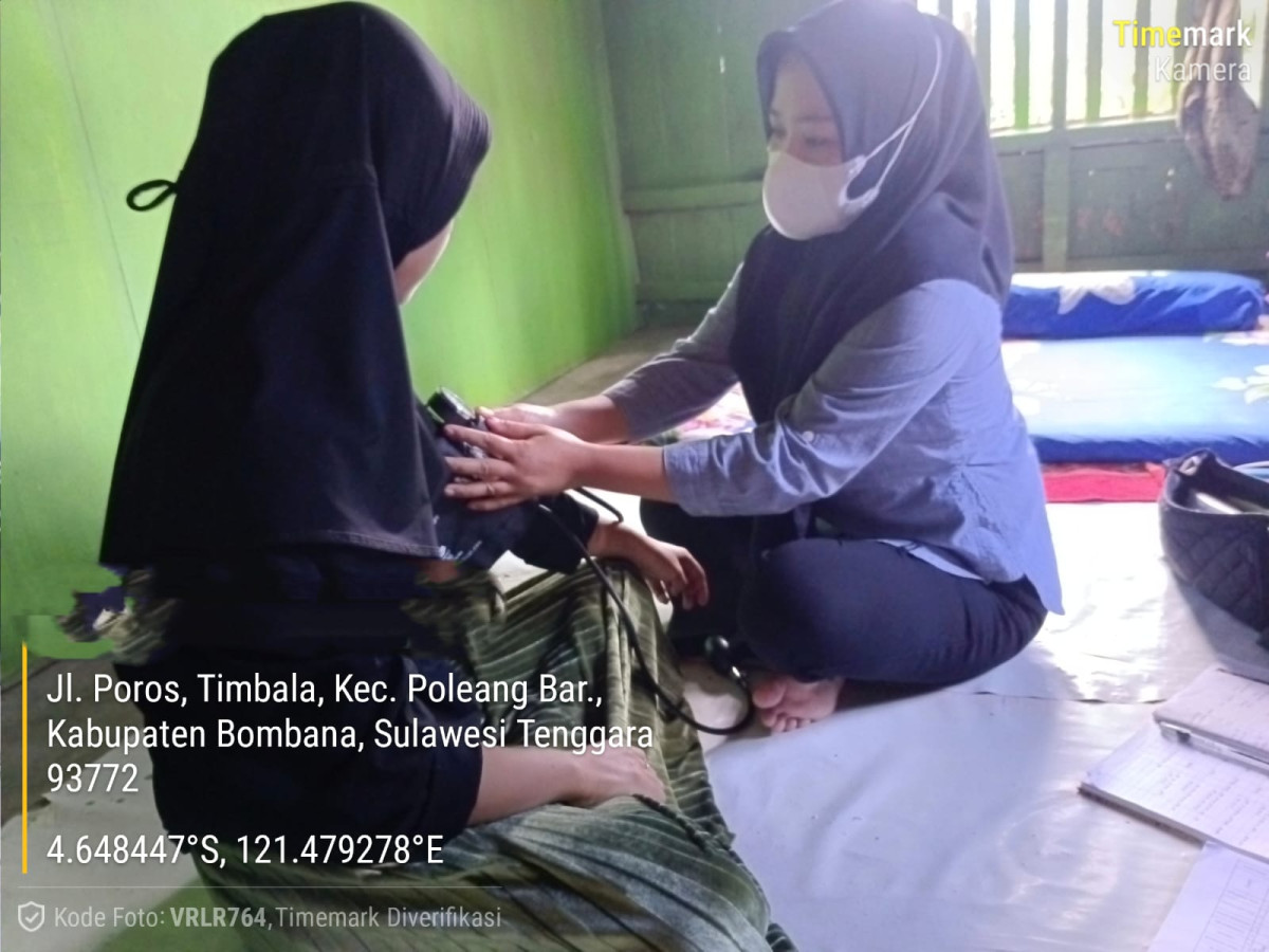 PEMERIKSAAN IBU HAMIL