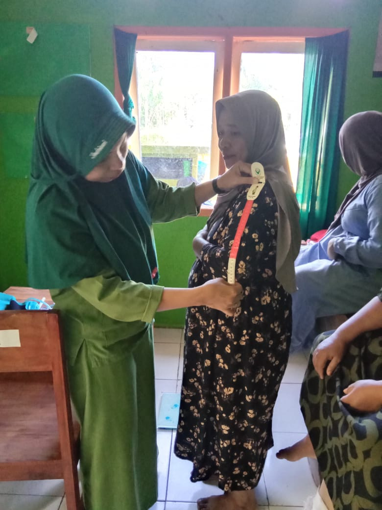 PEMERIKSAAN IBU HAMIL