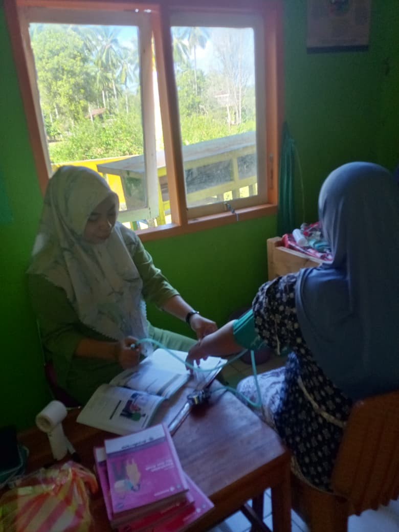 PEMERIKSAAN IBU HAMIL