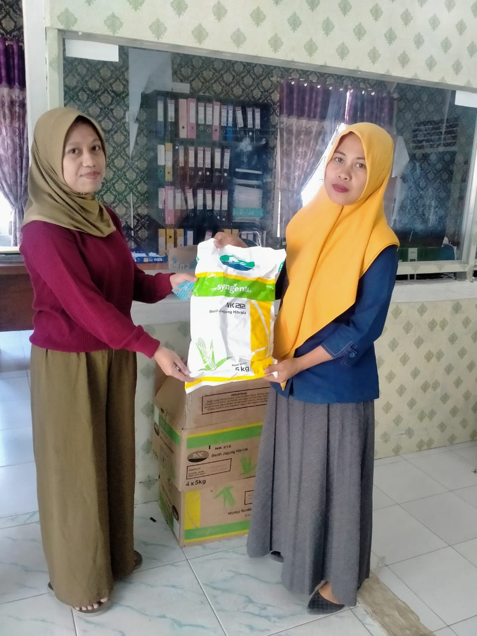 penyerahan bibit jagung