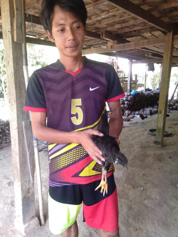 pemberian 
